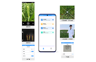 南昌市小麦亩穗数分析仪IN-XM02